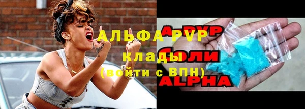 ПСИЛОЦИБИНОВЫЕ ГРИБЫ Дмитриев