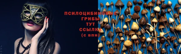 ПСИЛОЦИБИНОВЫЕ ГРИБЫ Дмитриев