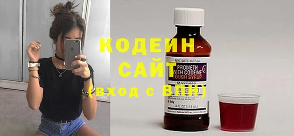 ПСИЛОЦИБИНОВЫЕ ГРИБЫ Дмитриев