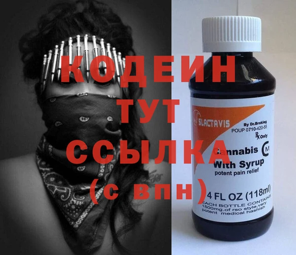 ПСИЛОЦИБИНОВЫЕ ГРИБЫ Дмитриев