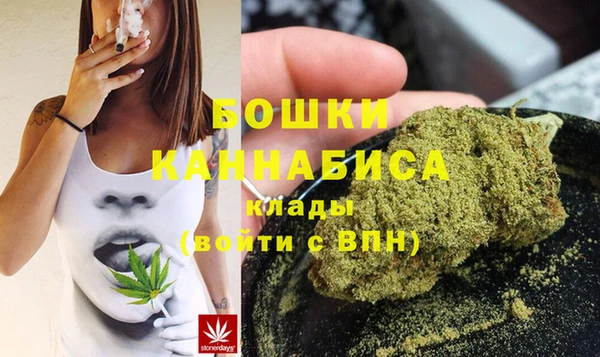 ПСИЛОЦИБИНОВЫЕ ГРИБЫ Дмитриев