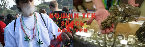 ПСИЛОЦИБИНОВЫЕ ГРИБЫ Дмитровск