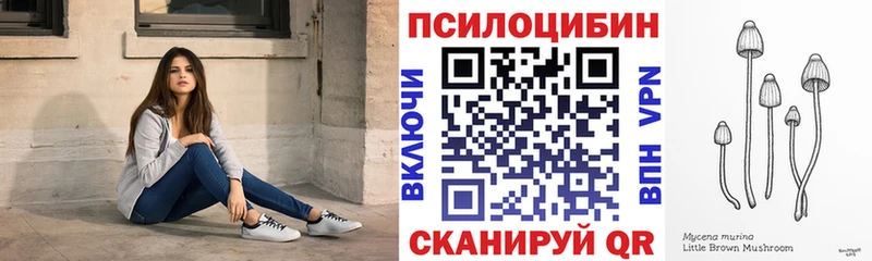 сколько стоит  Краснослободск  Галлюциногенные грибы GOLDEN TEACHER 